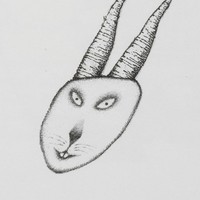 La Carotte (oreille de lapin).jpg